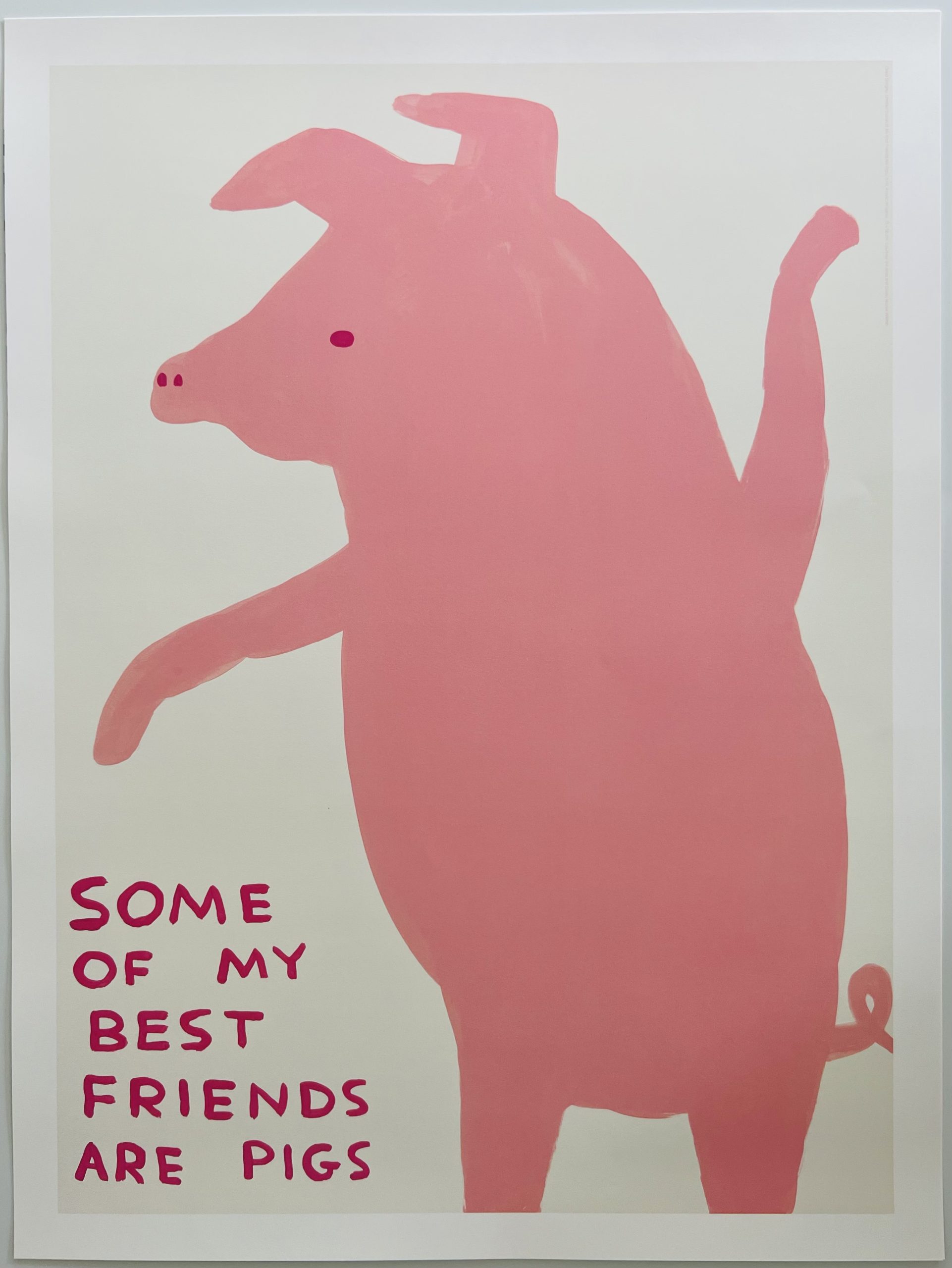 Some of my best friends are pigs by david shrigley