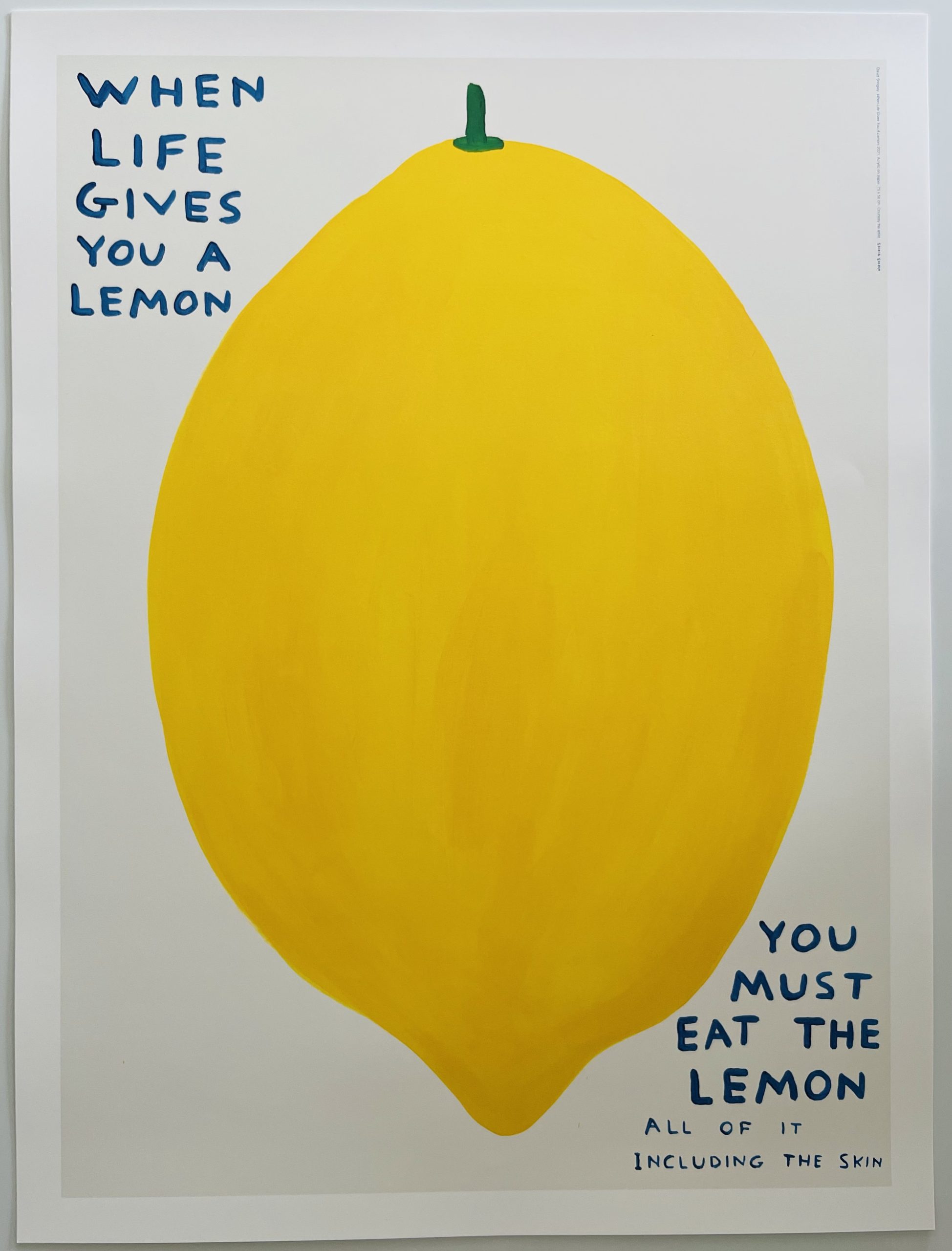 When Life Gives You a Lemon david shrigley