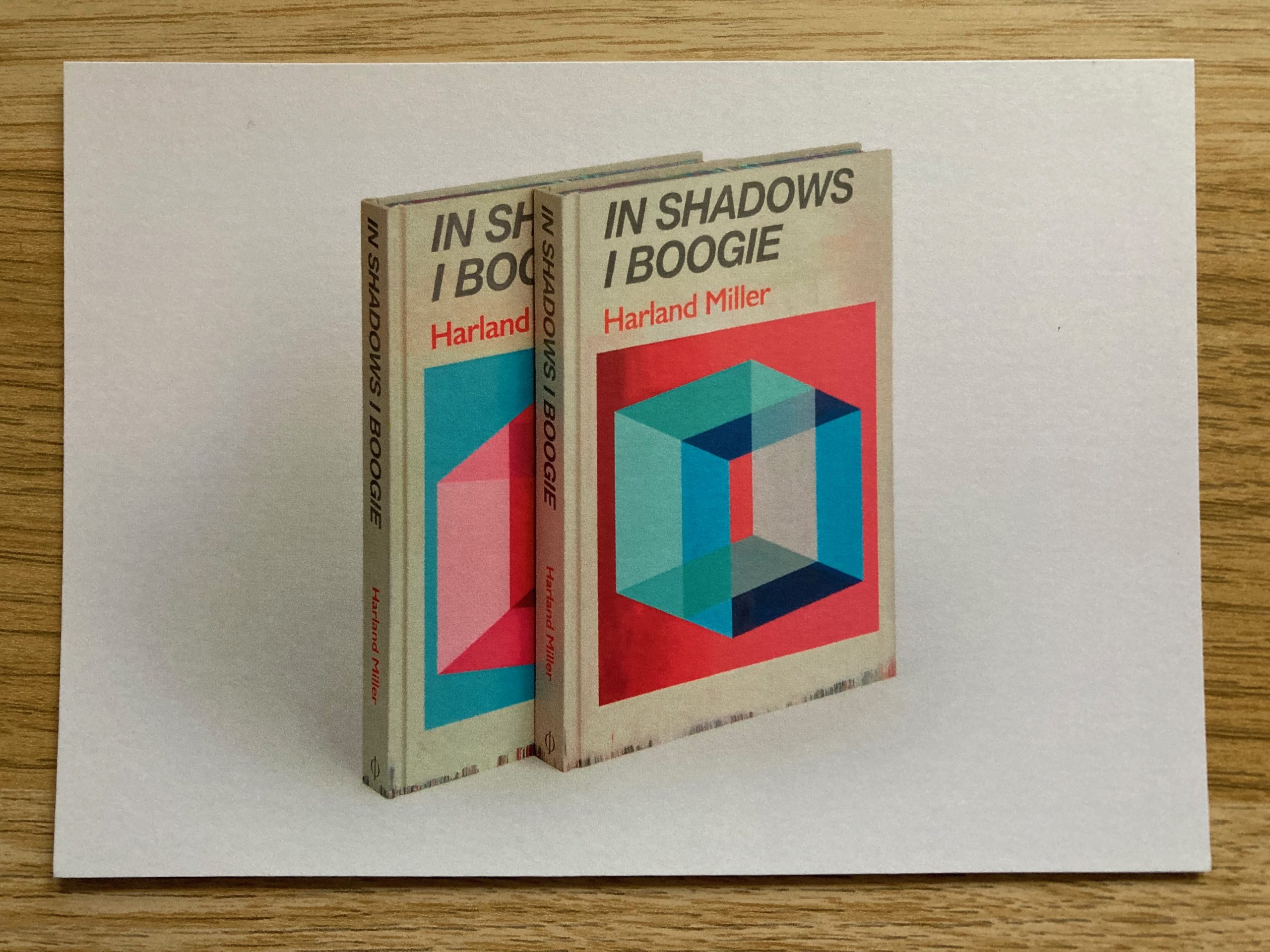in shadows i boogie harland miller