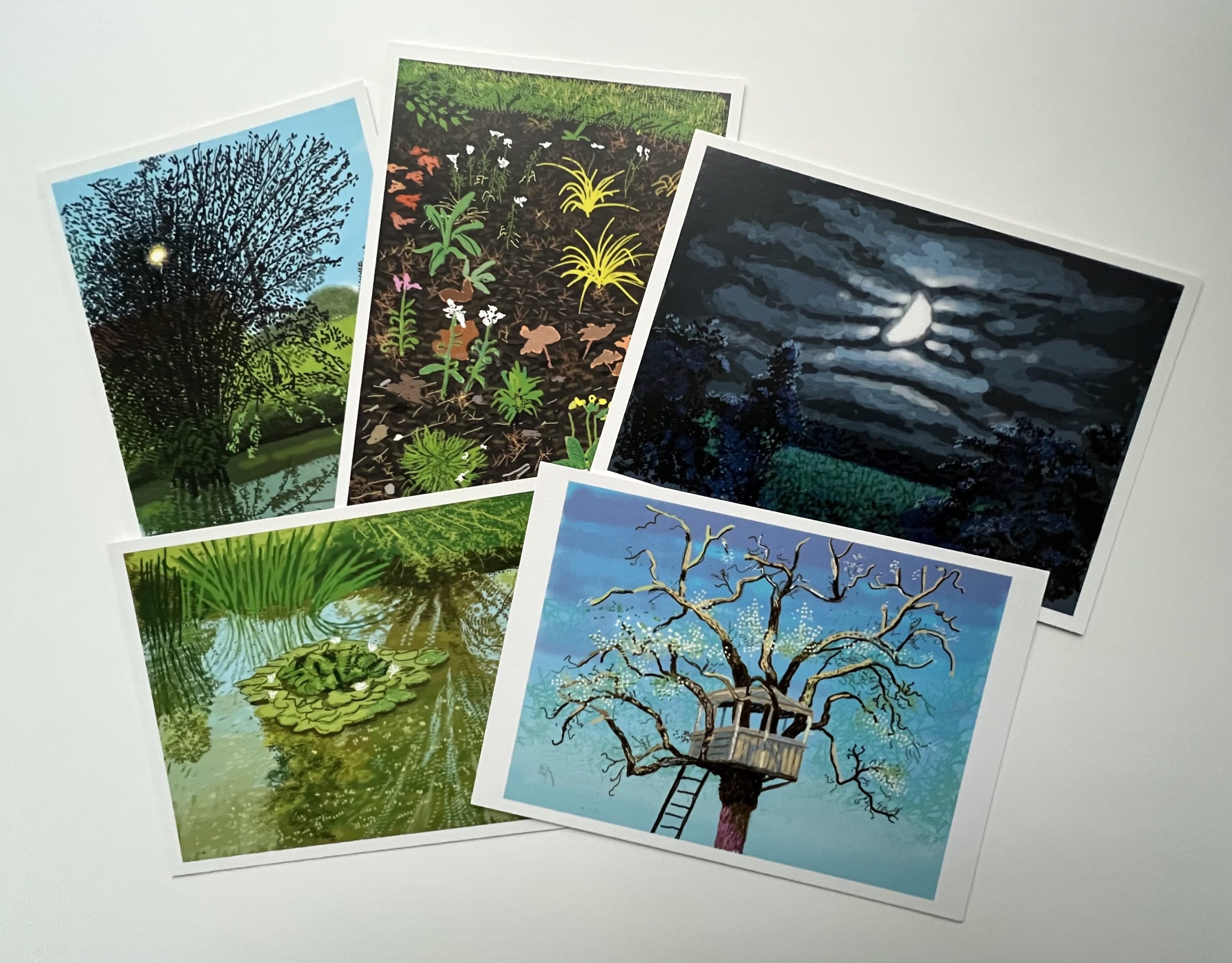 David-Hockney-art-cards-Royal-Academy-set-of-5 David-Hockney-art-cards-Royal-Academy-set-of-5